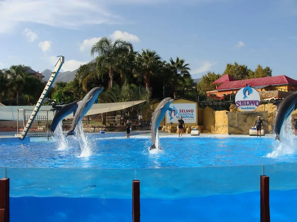 Benalmadena Costa Sol Holiday Rentals Spain